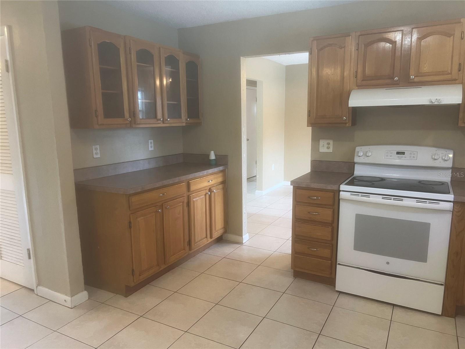 6029 CHRISTINA DR W, LAKELAND, FL, 33813