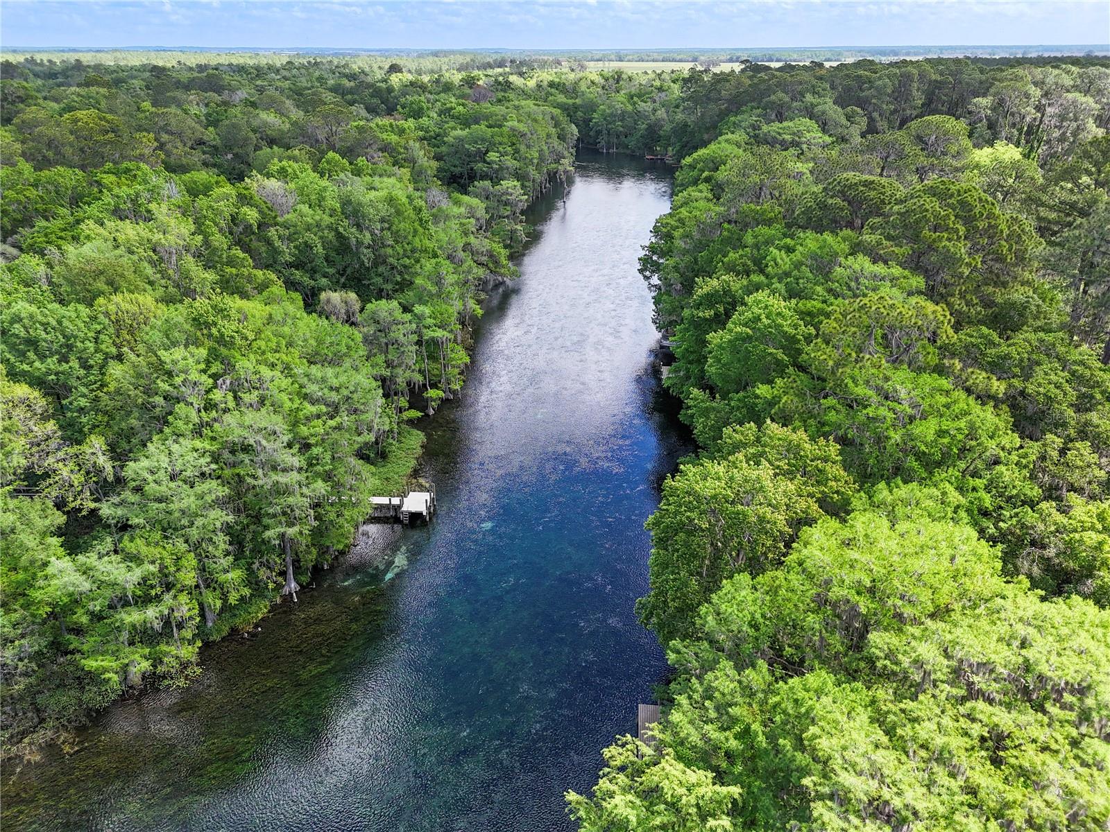 11160 SW 190TH AVE, DUNNELLON, FL, 34431