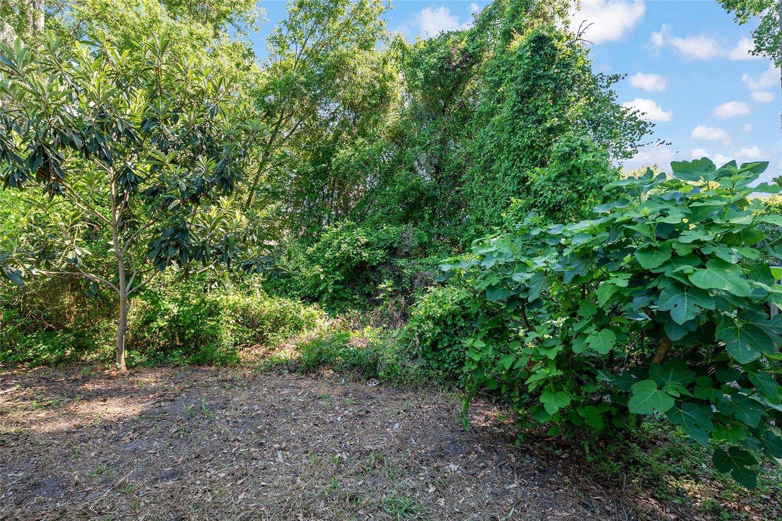 4939 NW 81ST AVE, GAINESVILLE, FL, 32653