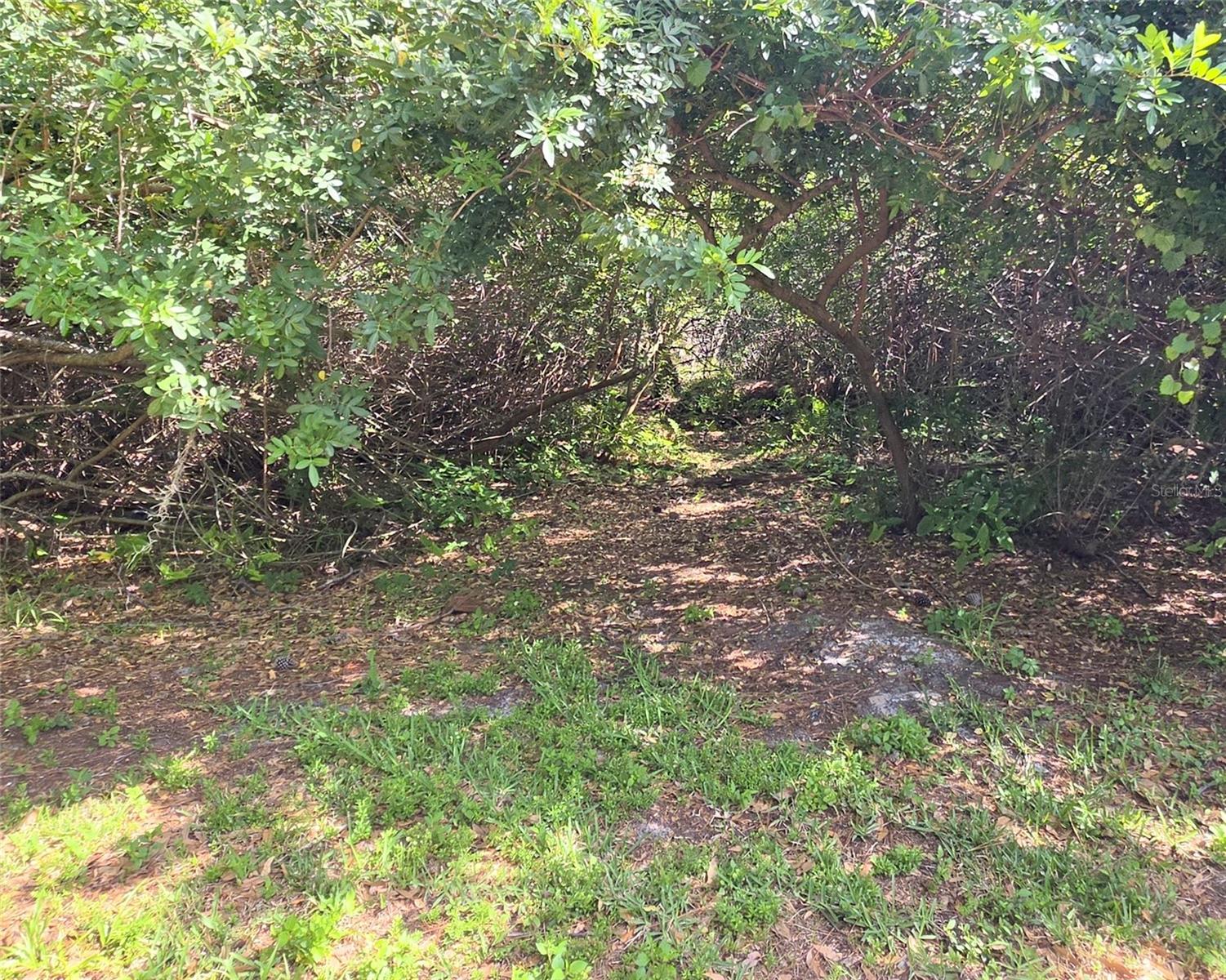 3853 STRATFIELD DR, NEW PORT RICHEY, FL, 34652