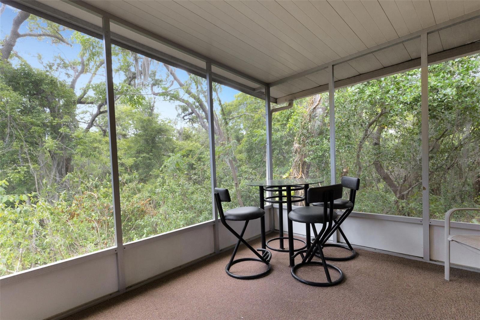 98 CEDAR ELM DR #32, SAFETY HARBOR, FL, 34695