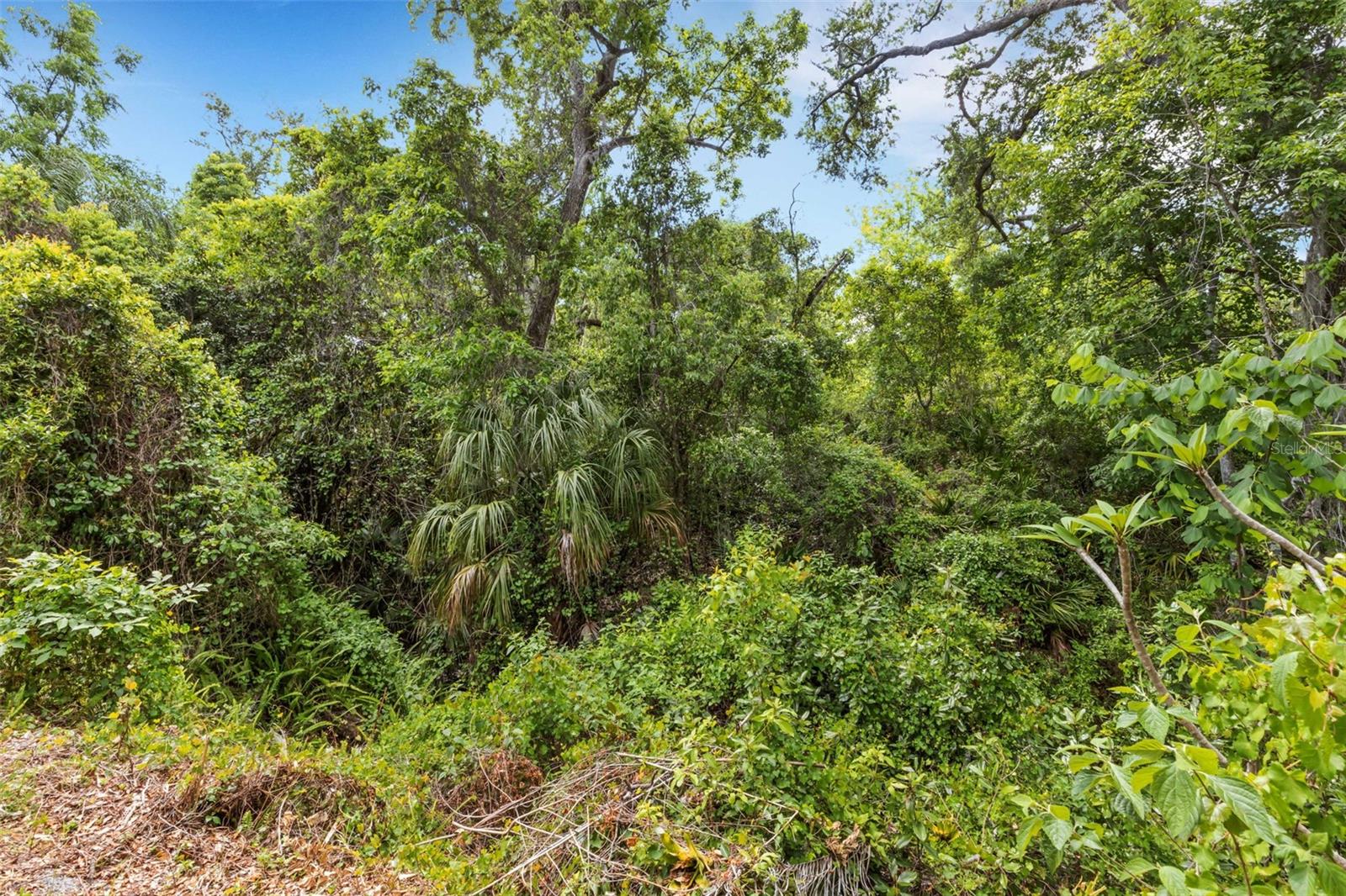 98 CEDAR ELM DR #32, SAFETY HARBOR, FL, 34695