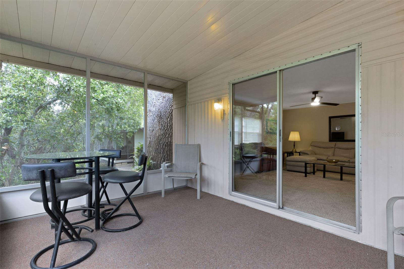 98 CEDAR ELM DR #32, SAFETY HARBOR, FL, 34695