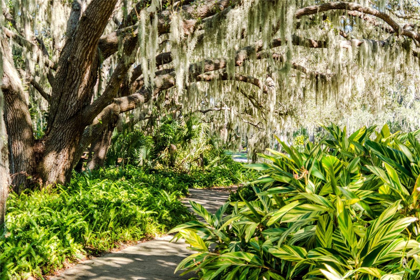 4912 CHARLES PARTIN DR, PARRISH, FL, 34219