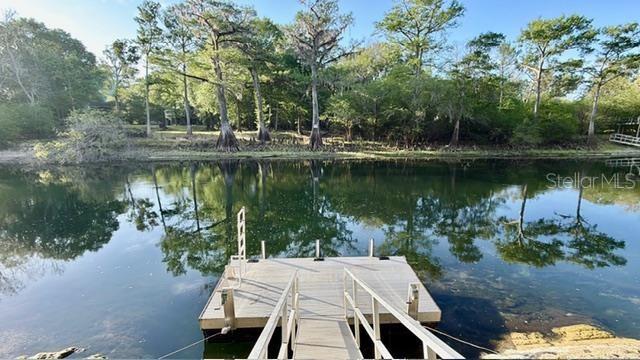 12890 NE 21ST TER, BRANFORD, FL, 32008