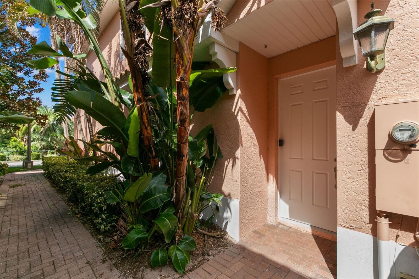 24 MANGROVE PT, ST PETERSBURG, FL, 33705