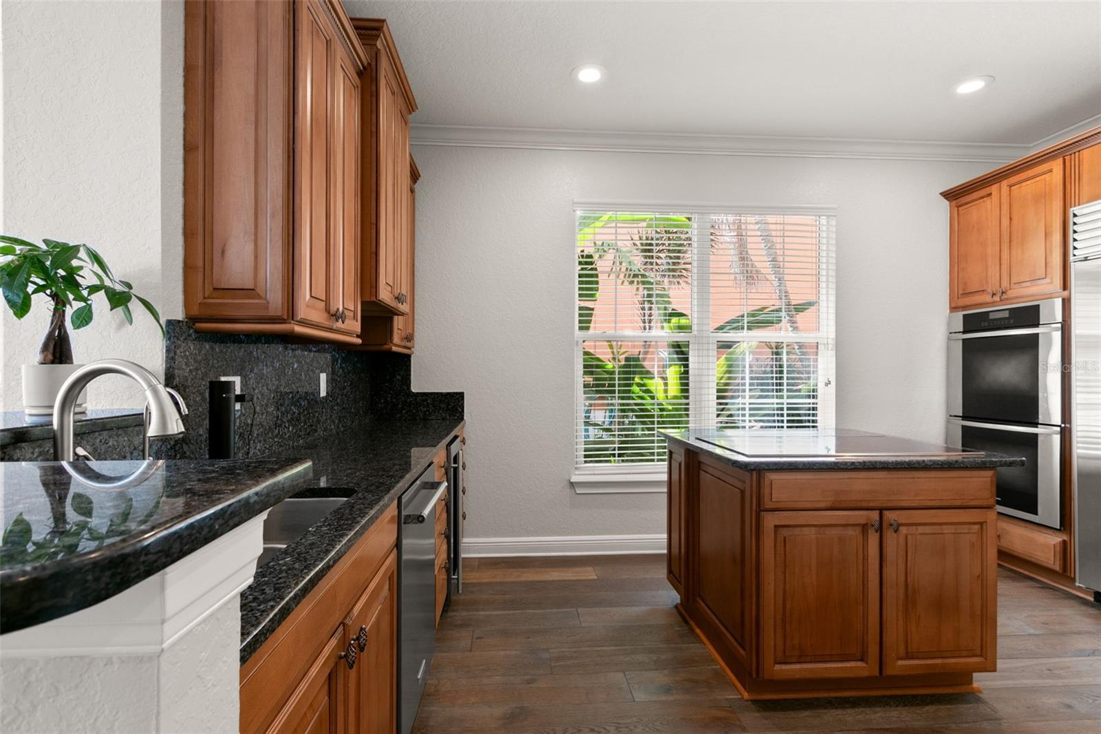 24 MANGROVE PT, ST PETERSBURG, FL, 33705