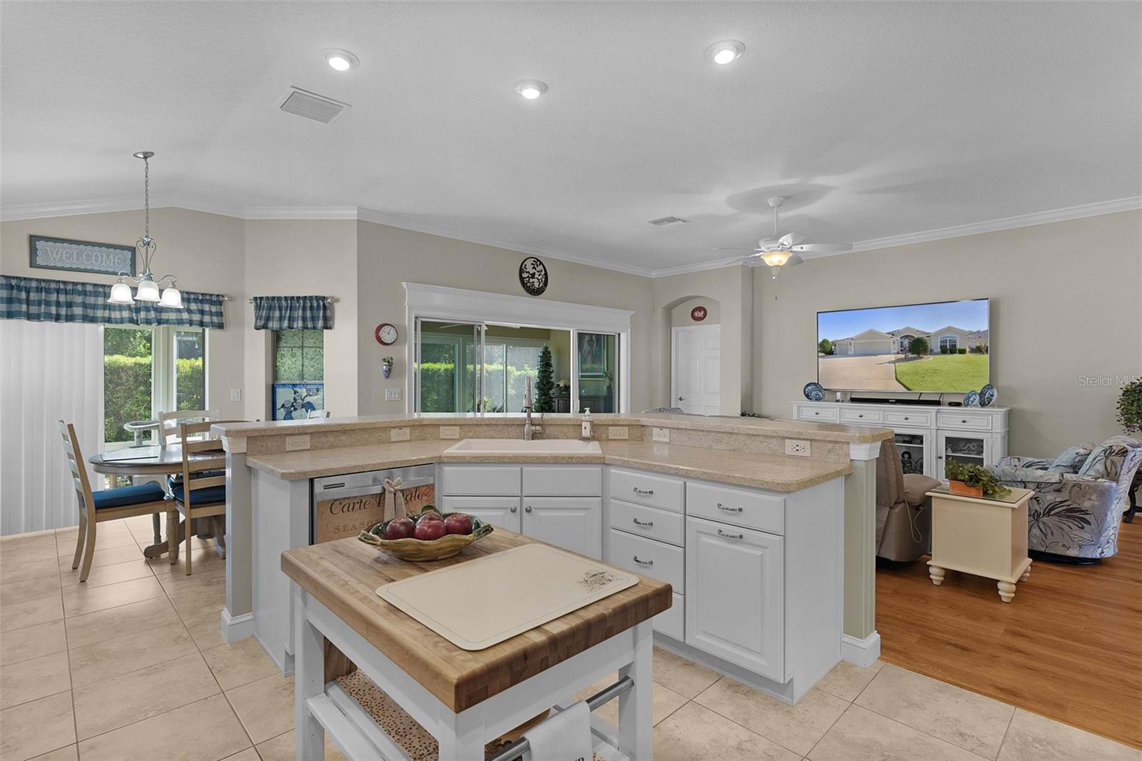 491 HARLOW LN, THE VILLAGES, FL, 32163