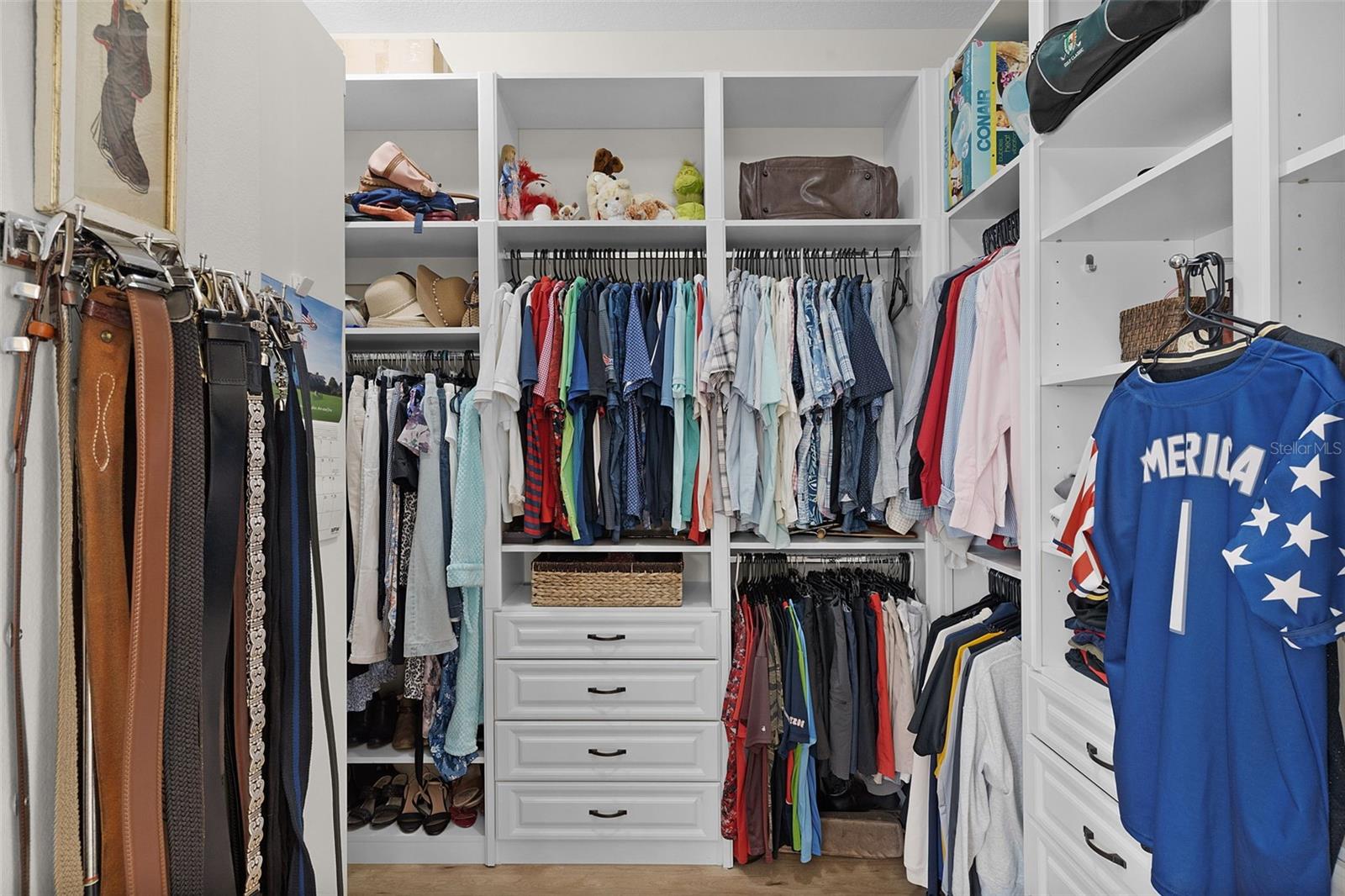 491 HARLOW LN, THE VILLAGES, FL, 32163