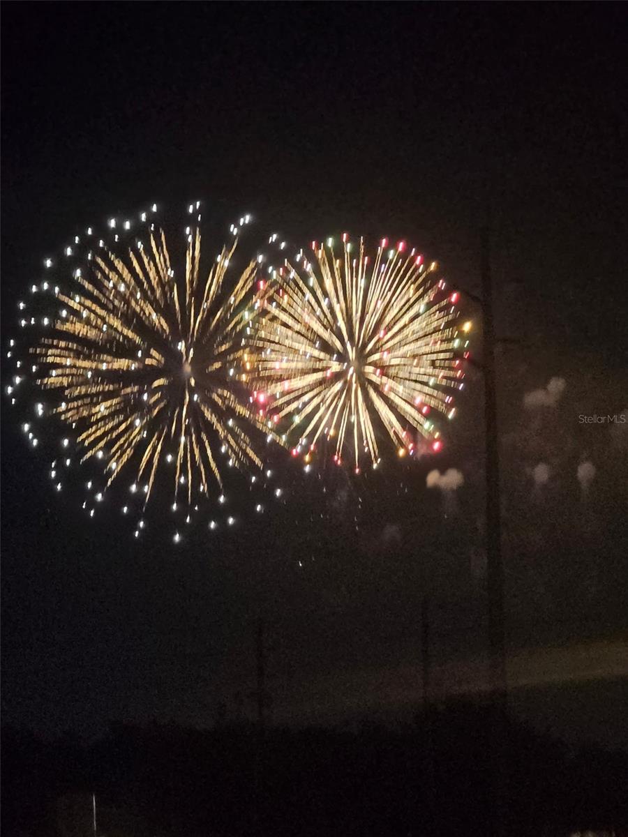 8796 PEACHTREE PARK CT, WINDERMERE, FL, 34786