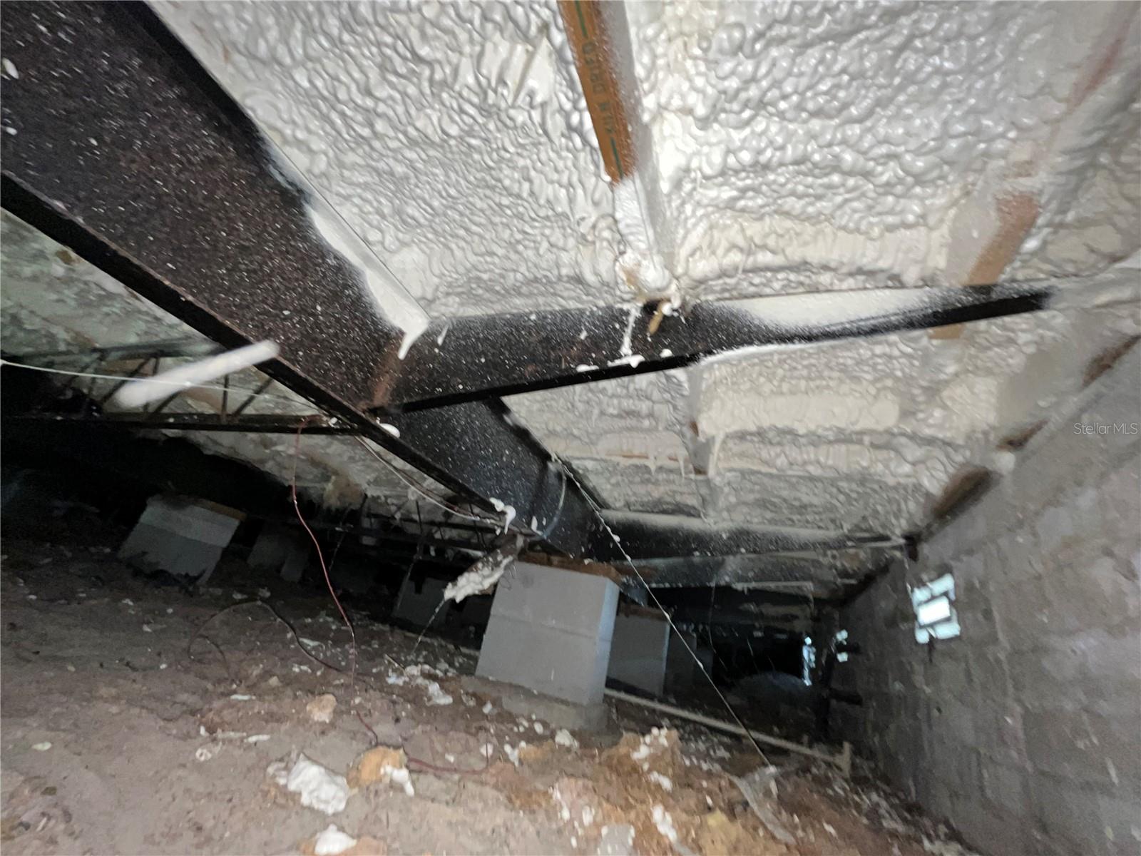 3834 DIAMOND OAK WAY #620, ZELLWOOD, FL, 32798