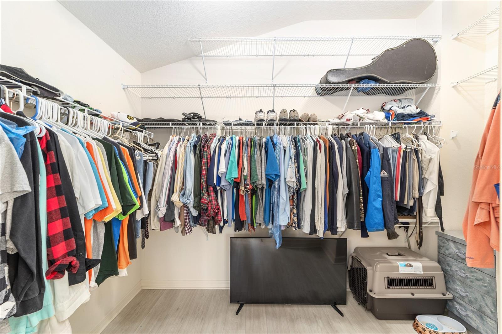 481 ISLAND HOUSE PATH, THE VILLAGES, FL, 32163