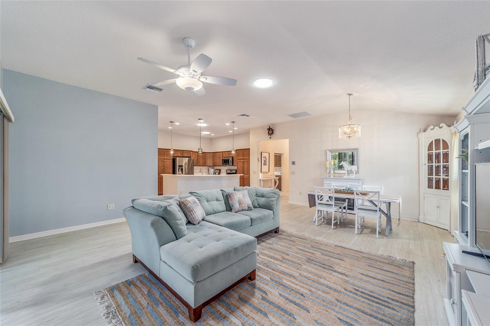 481 ISLAND HOUSE PATH, THE VILLAGES, FL, 32163