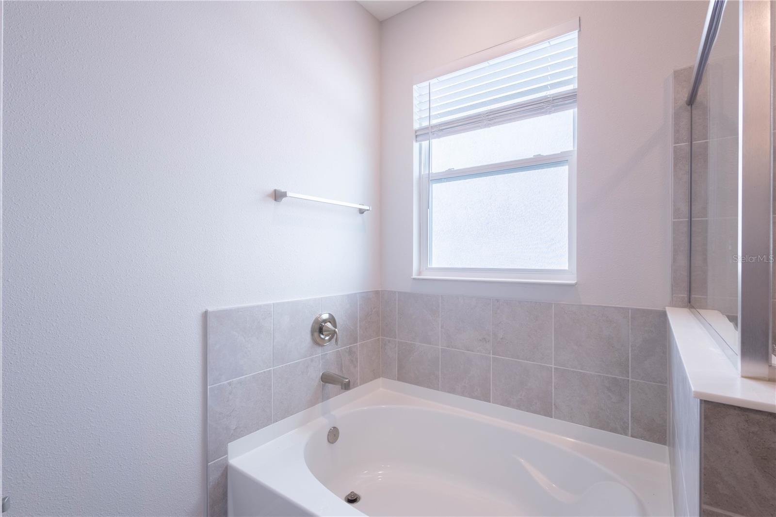 345 MANGROVE MANOR DR, APOLLO BEACH, FL, 33572