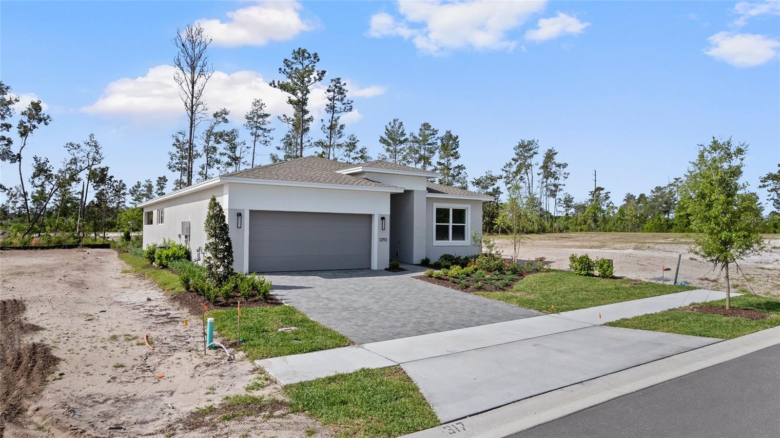 1293 TWIN FARMS CT, DELAND, FL, 32724