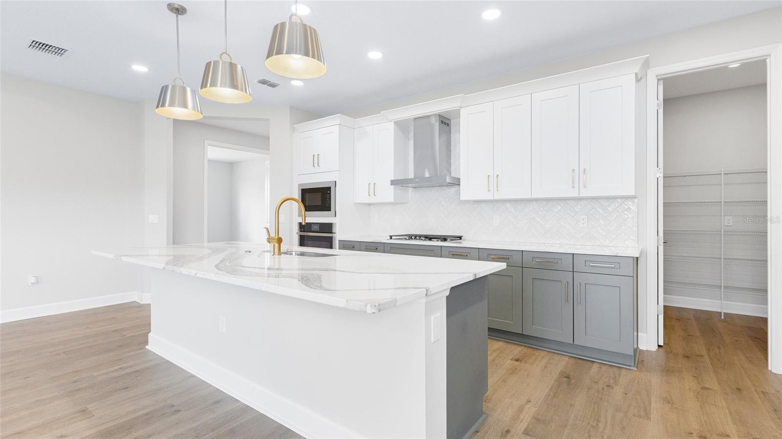 1293 TWIN FARMS CT, DELAND, FL, 32724