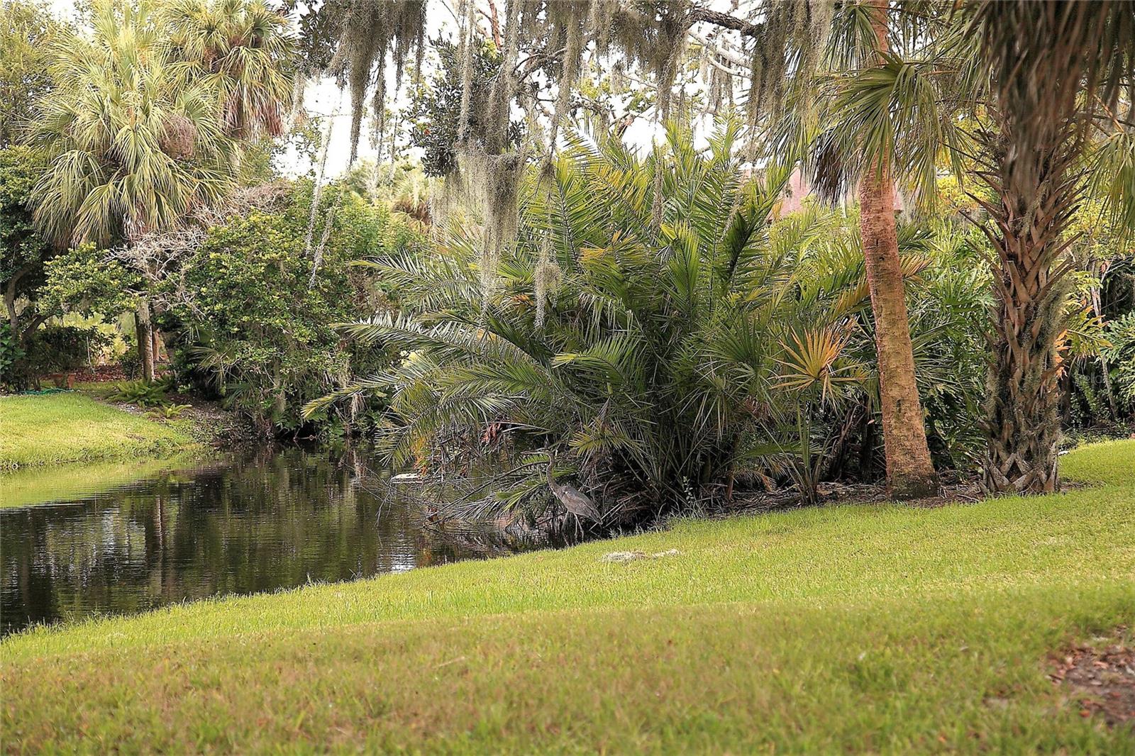 4572 RED MAPLE RD #901, BRADENTON, FL, 34210