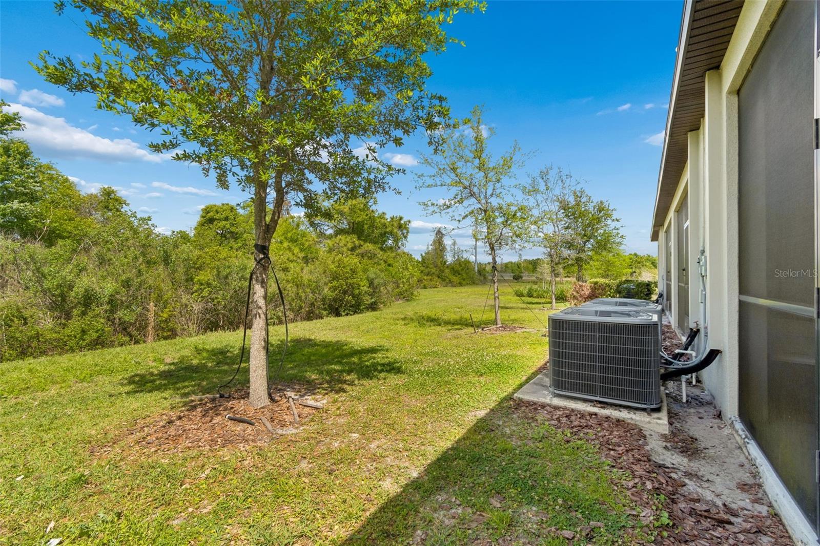 3633 BELLMEADE CT, WESLEY CHAPEL, FL, 33543