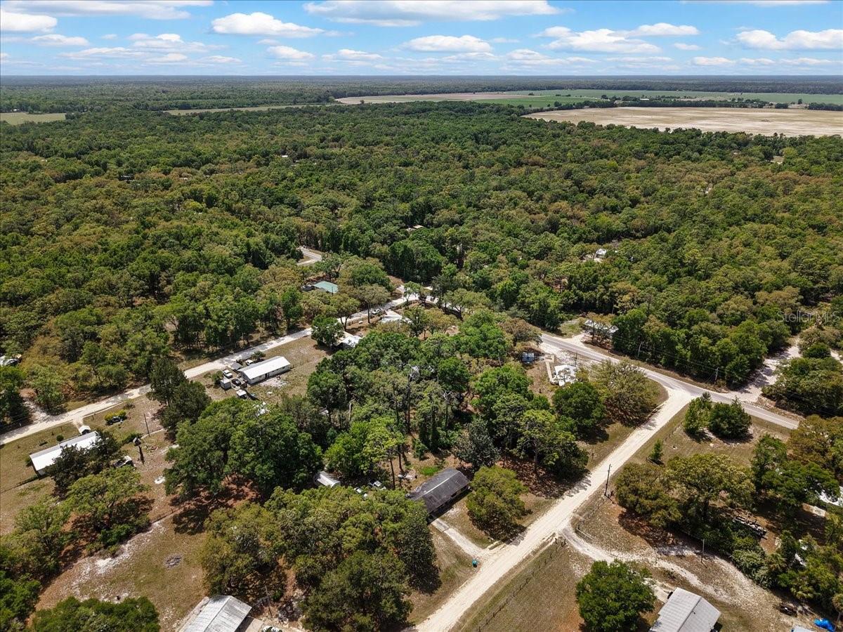 8731 NW 127TH PL, CHIEFLAND, FL, 32626