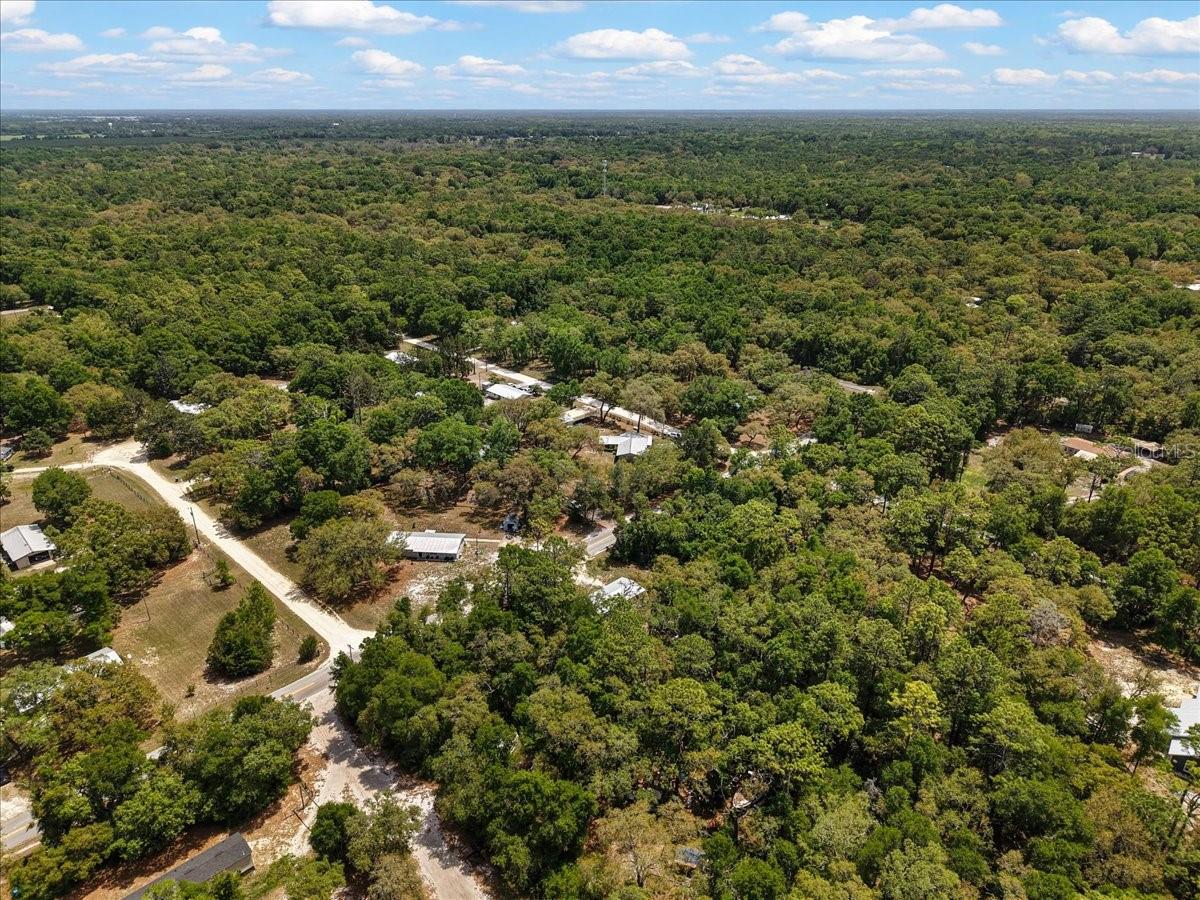 8731 NW 127TH PL, CHIEFLAND, FL, 32626