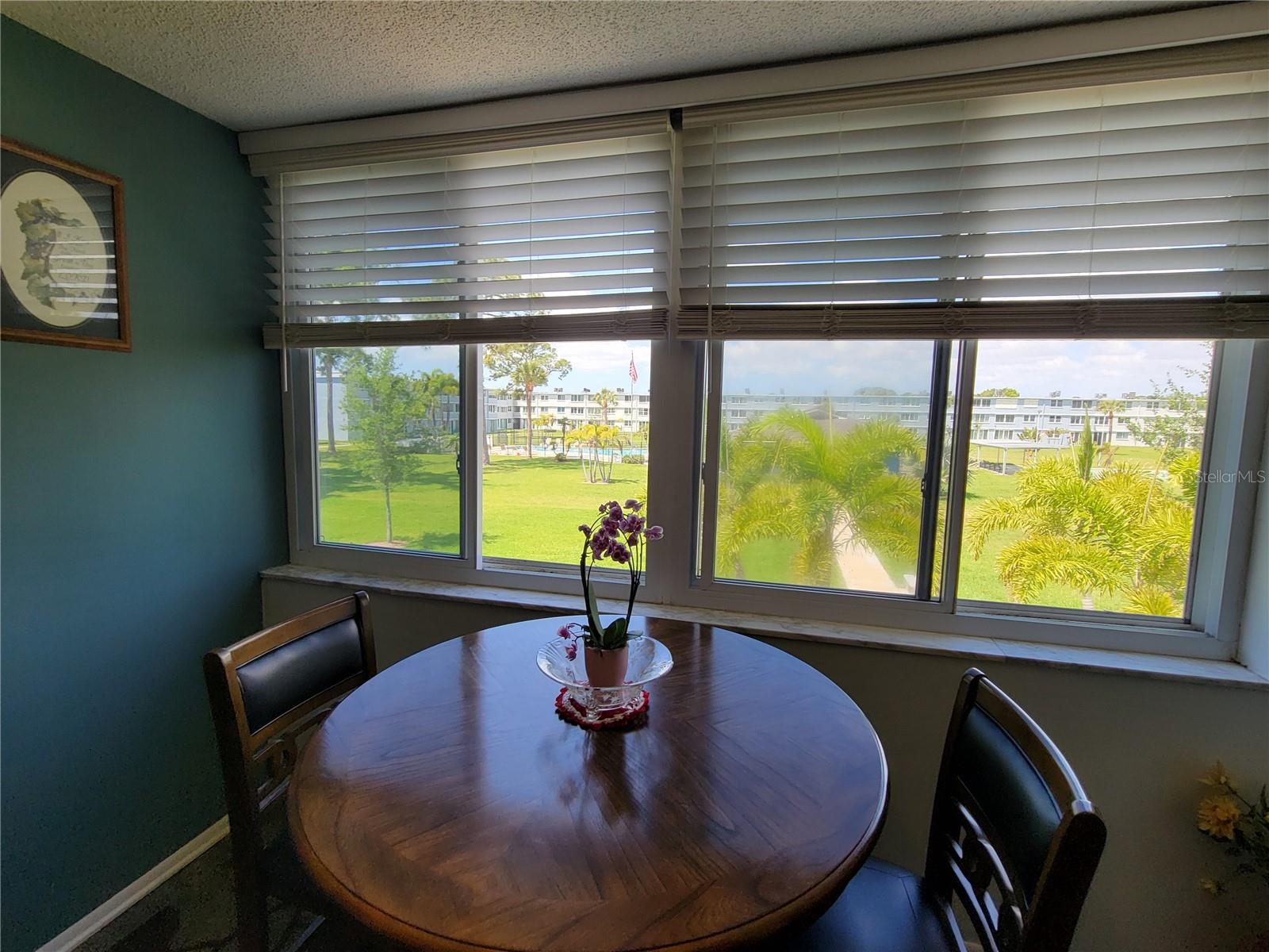 4720 LOCUST ST NE #219, ST PETERSBURG, FL, 33703