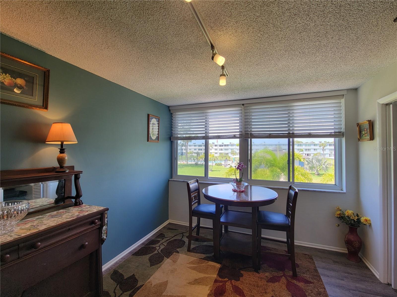 4720 LOCUST ST NE #219, ST PETERSBURG, FL, 33703