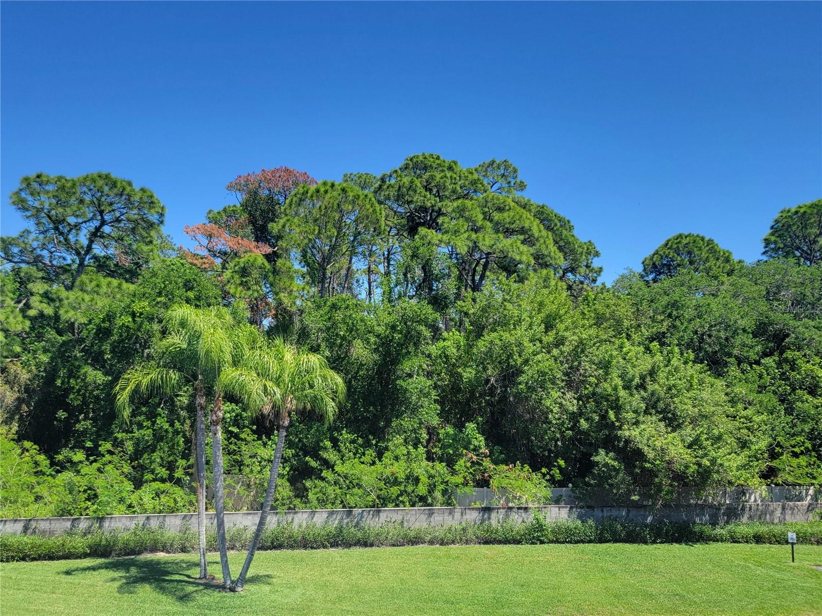 4720 LOCUST ST NE #219, ST PETERSBURG, FL, 33703