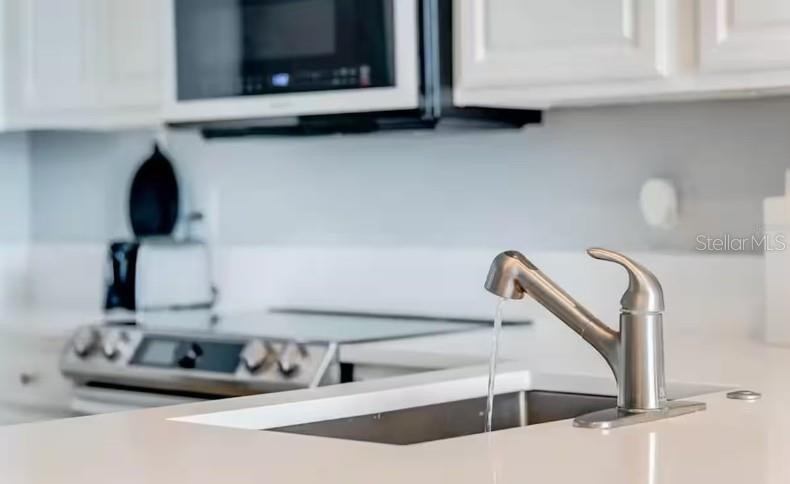 13415 BLUE HERON BEACH DR #1102, ORLANDO, FL, 32821