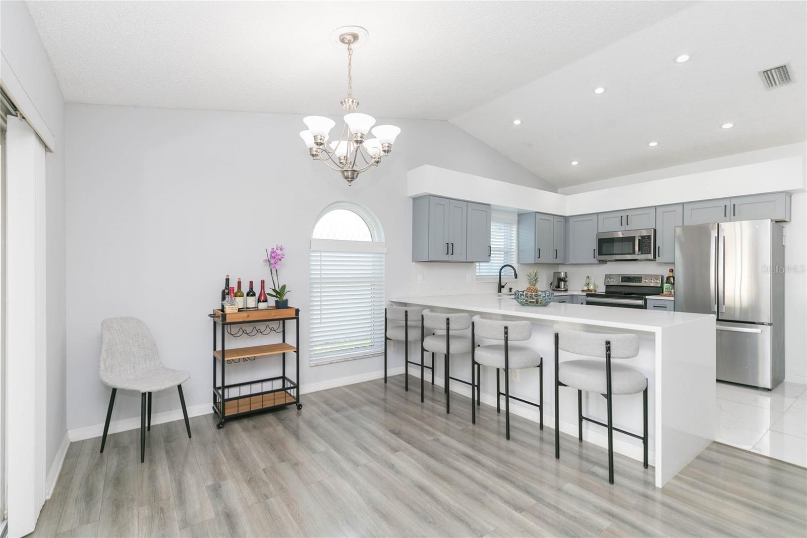 1111 WINDHORST RIDGE DR, BRANDON, FL, 33510