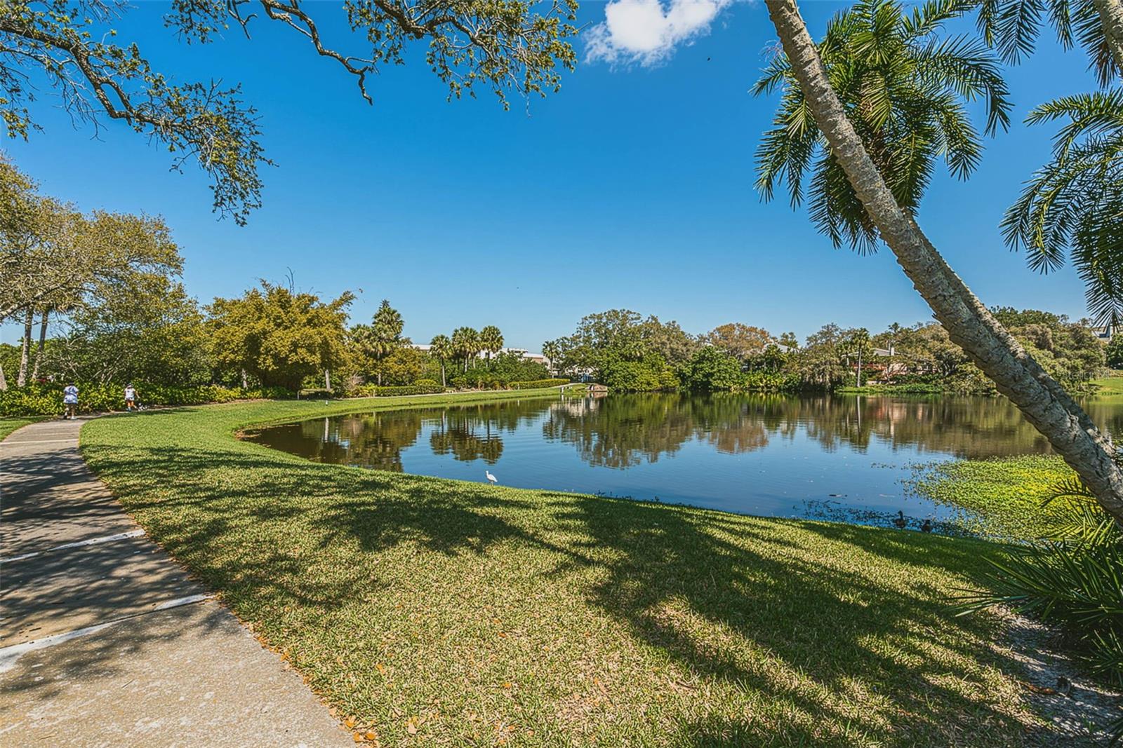 100 OAKMONT LN #203, BELLEAIR, FL, 33756