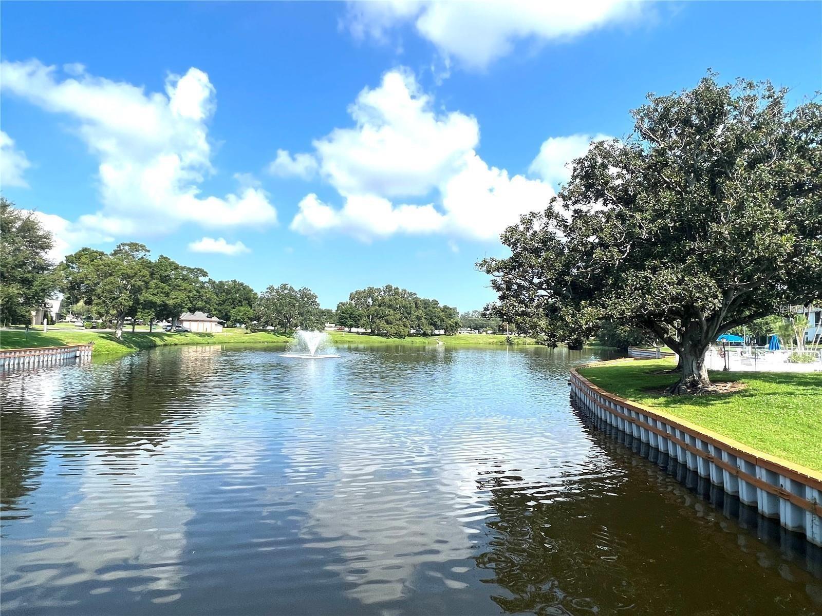 8425 112TH ST #104, SEMINOLE, FL, 33772