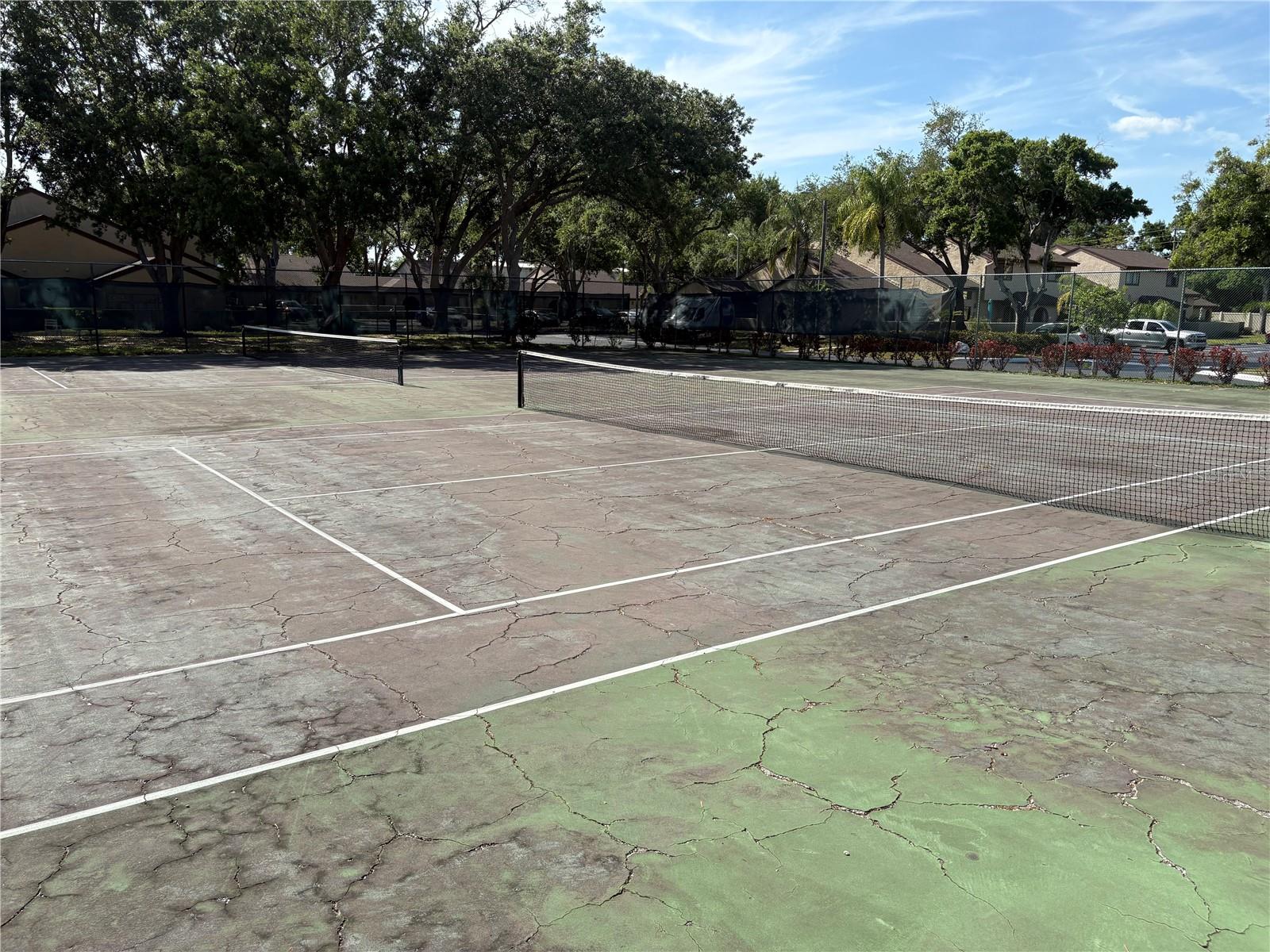 6262 142ND AVE N #804, CLEARWATER, FL, 33760