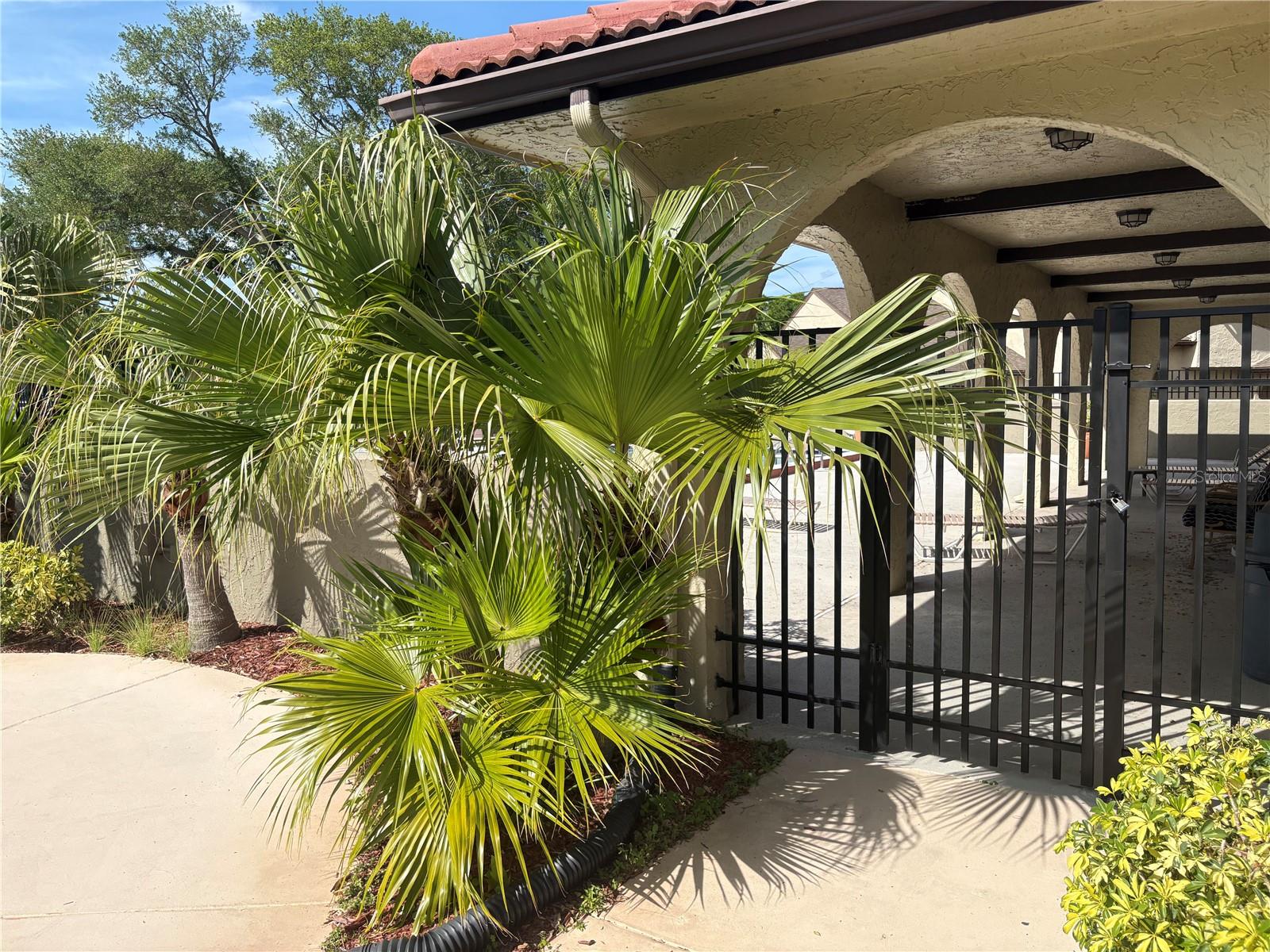 6262 142ND AVE N #804, CLEARWATER, FL, 33760