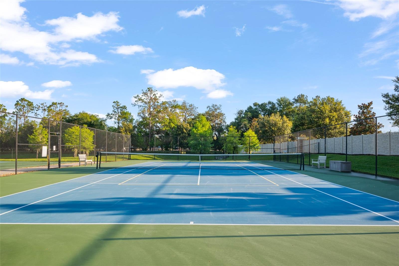 18908 ALFARO LOOP, SPRING HILL, FL, 34610