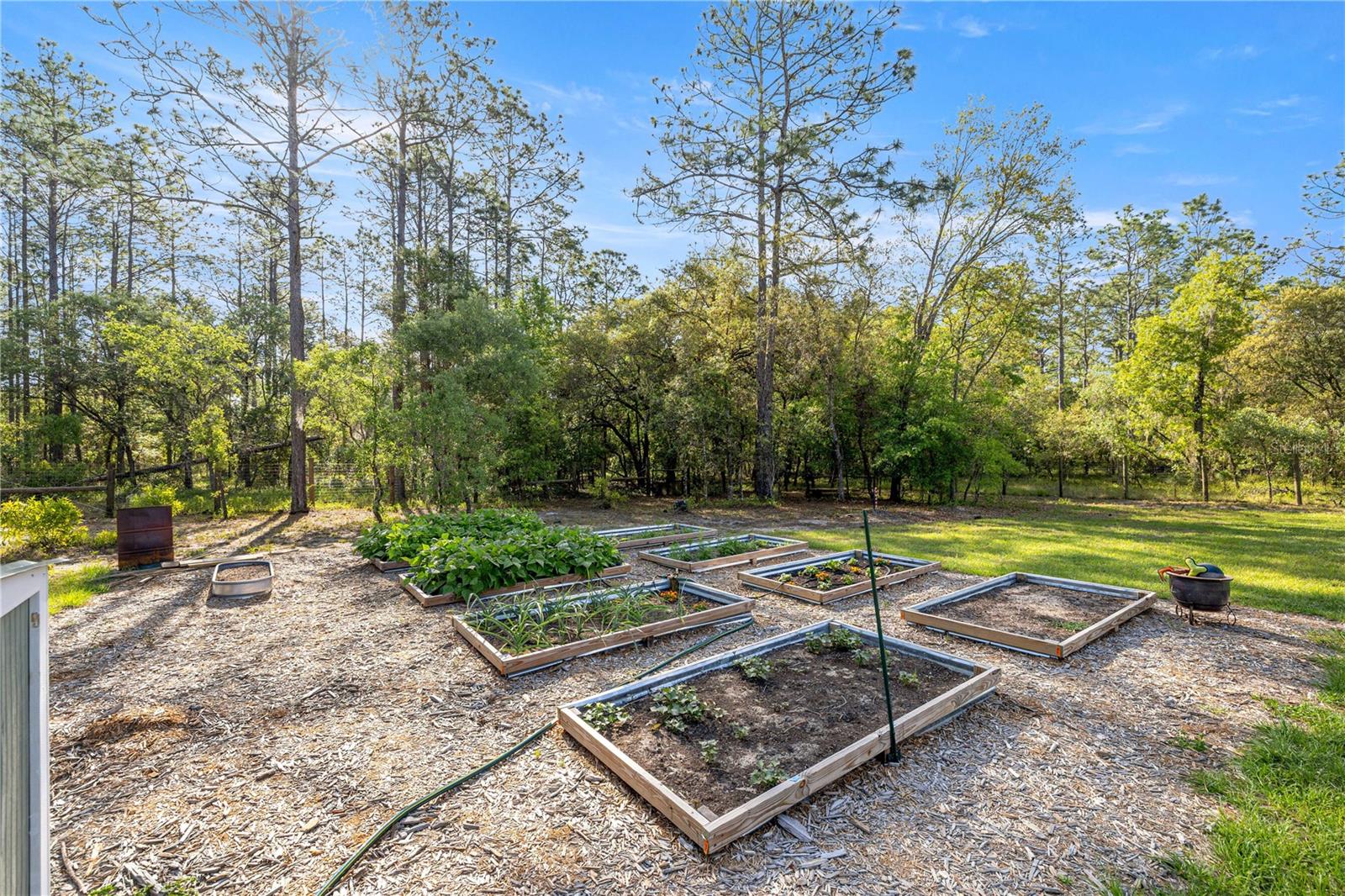 279 SW FIG TREE LN, DUNNELLON, FL, 34431