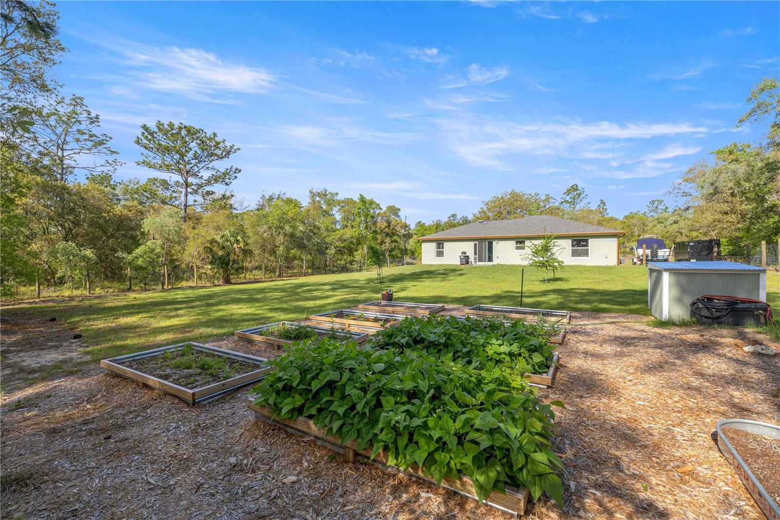 279 SW FIG TREE LN, DUNNELLON, FL, 34431