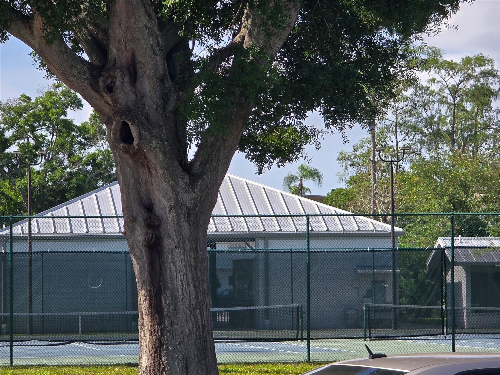 2428 COLUMBIA DR #22, CLEARWATER, FL, 33763