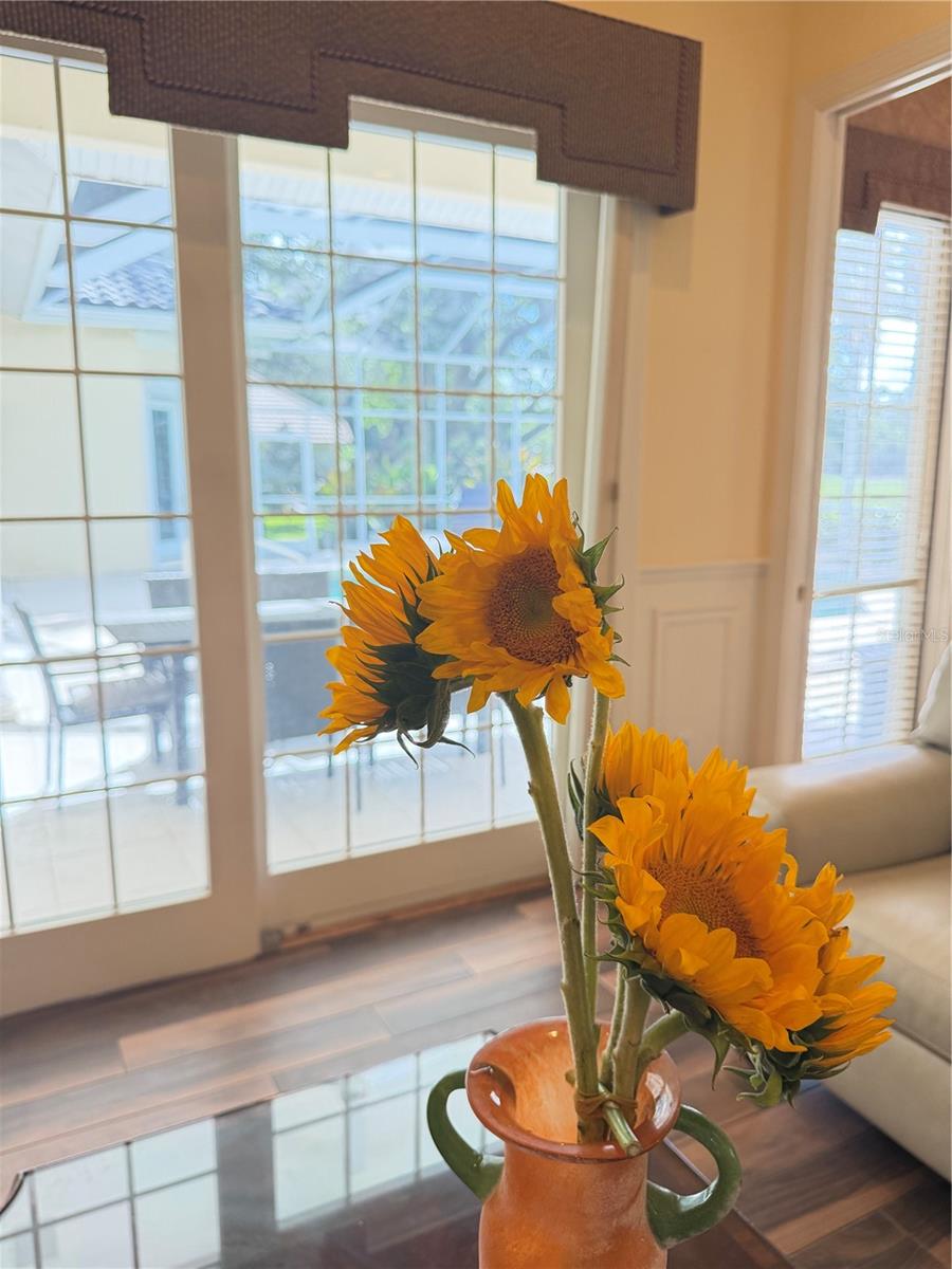 402 MACEWEN DR, OSPREY, FL, 34229