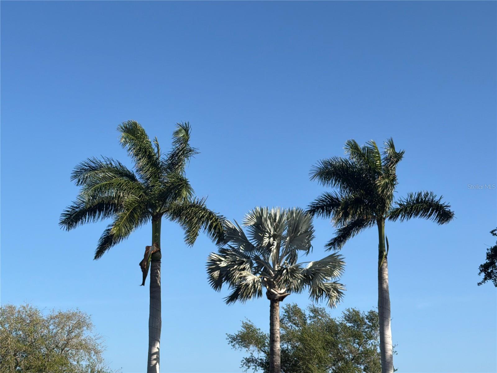 402 MACEWEN DR, OSPREY, FL, 34229