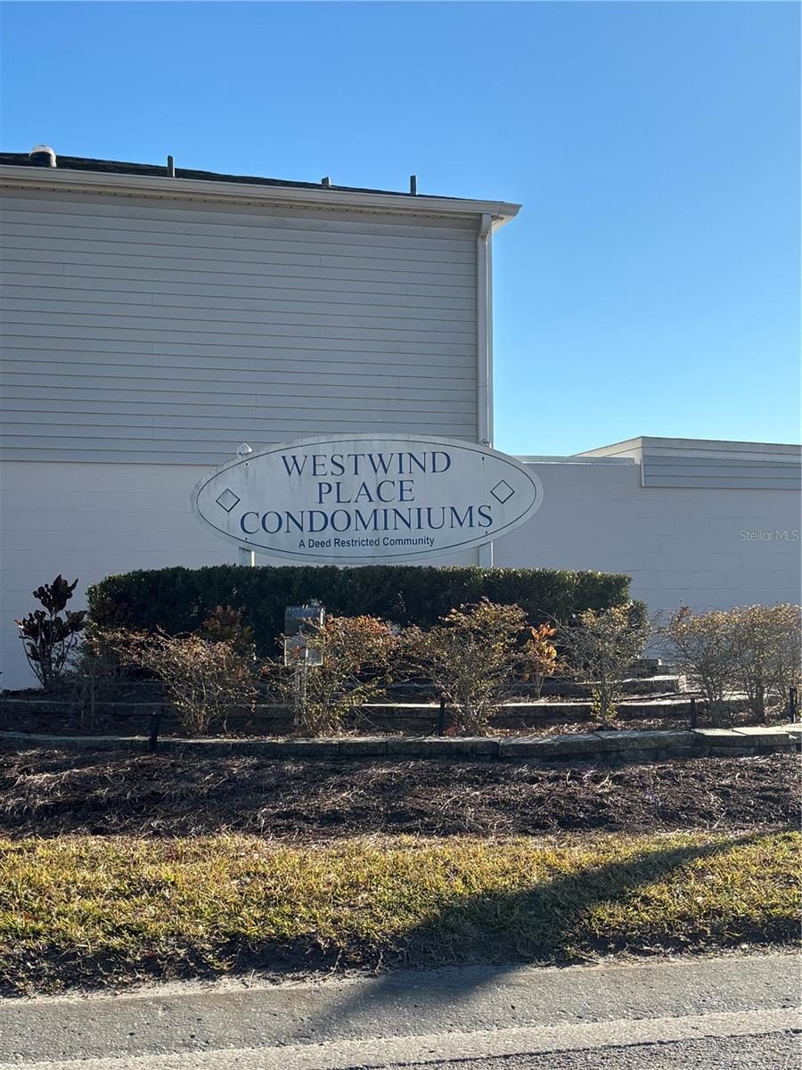 11804 CYPRESS HILL CIR #45, TAMPA, FL, 33626