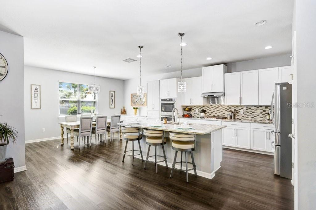 11642 LAKE LUCAYA DR, RIVERVIEW, FL, 33579