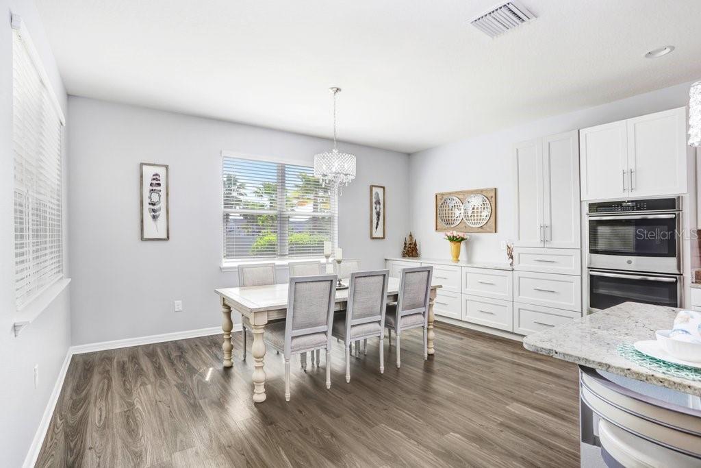 11642 LAKE LUCAYA DR, RIVERVIEW, FL, 33579