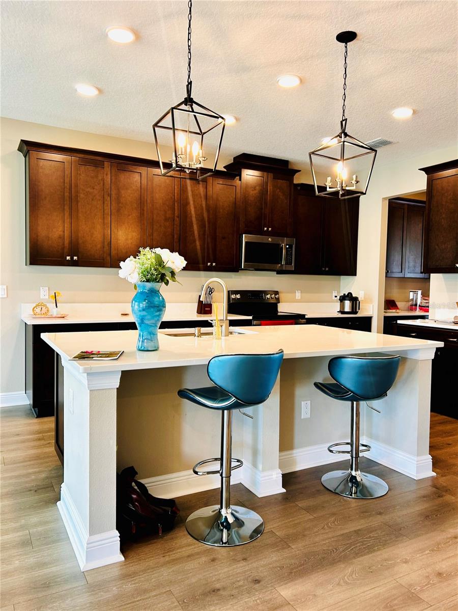 33234 SYCAMORE LEAF DR, WESLEY CHAPEL, FL, 33545