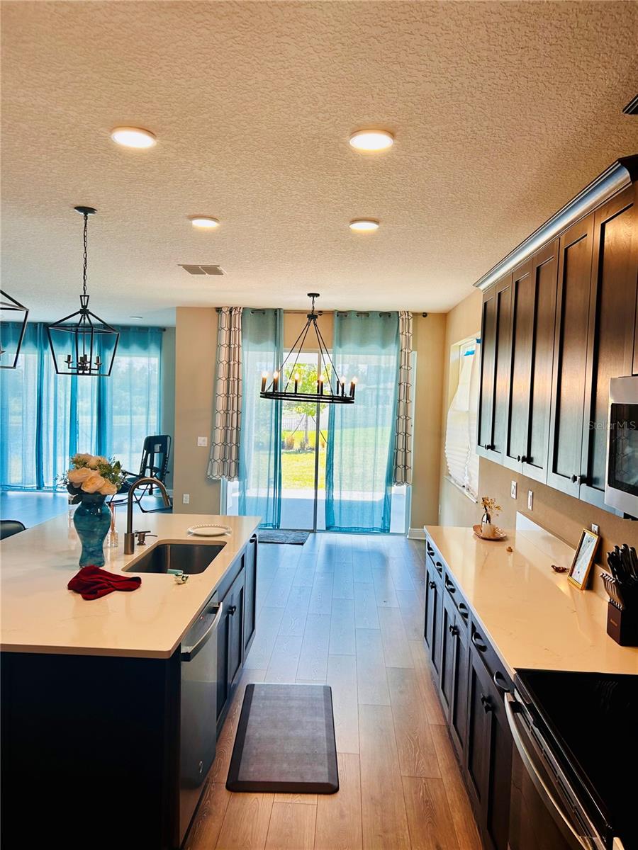 33234 SYCAMORE LEAF DR, WESLEY CHAPEL, FL, 33545