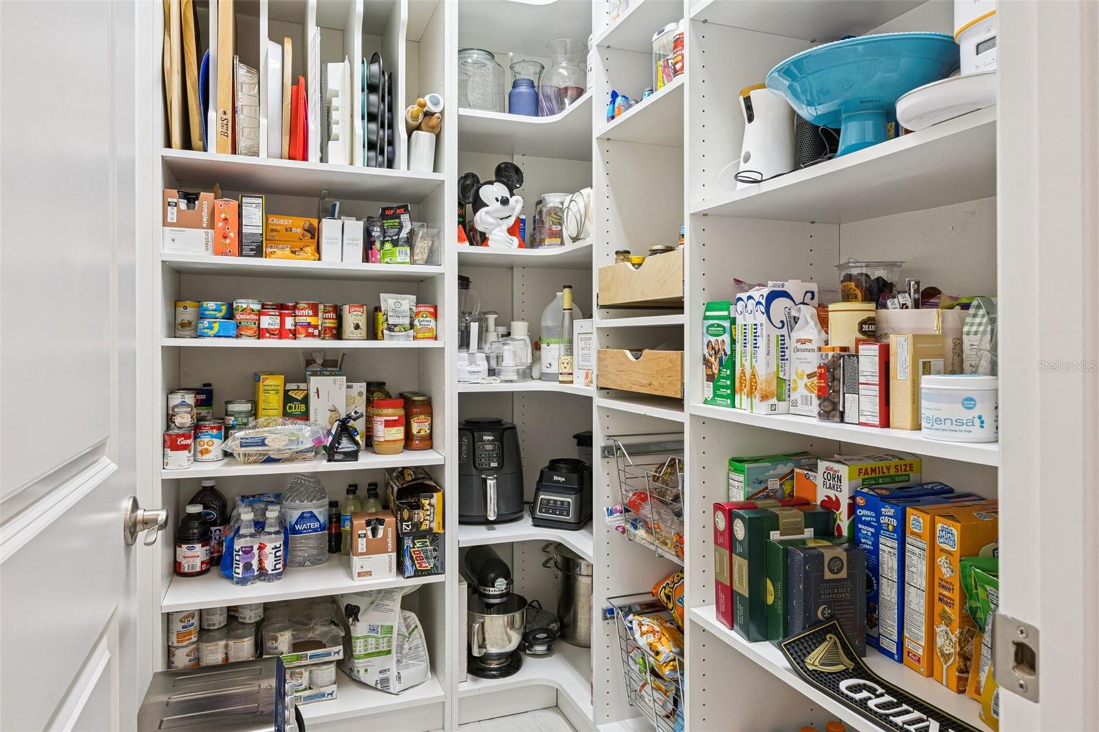 10693 PETRILLO WAY, WINTER GARDEN, FL, 34787