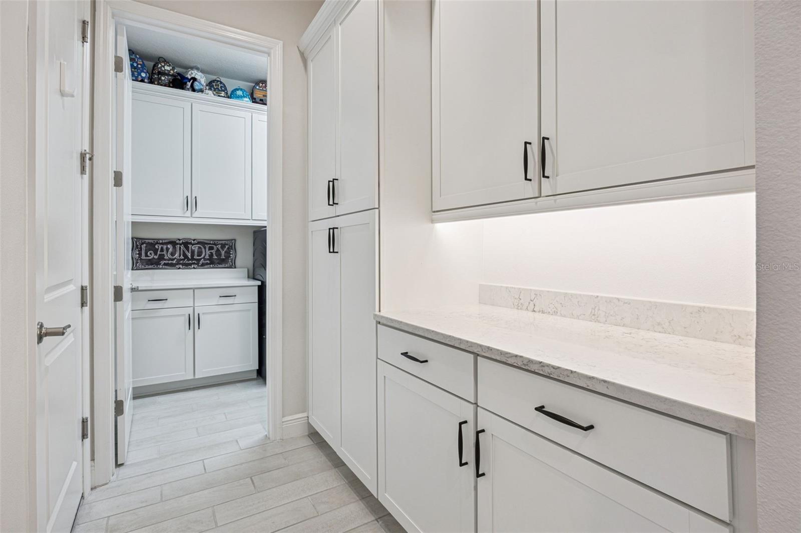 10693 PETRILLO WAY, WINTER GARDEN, FL, 34787