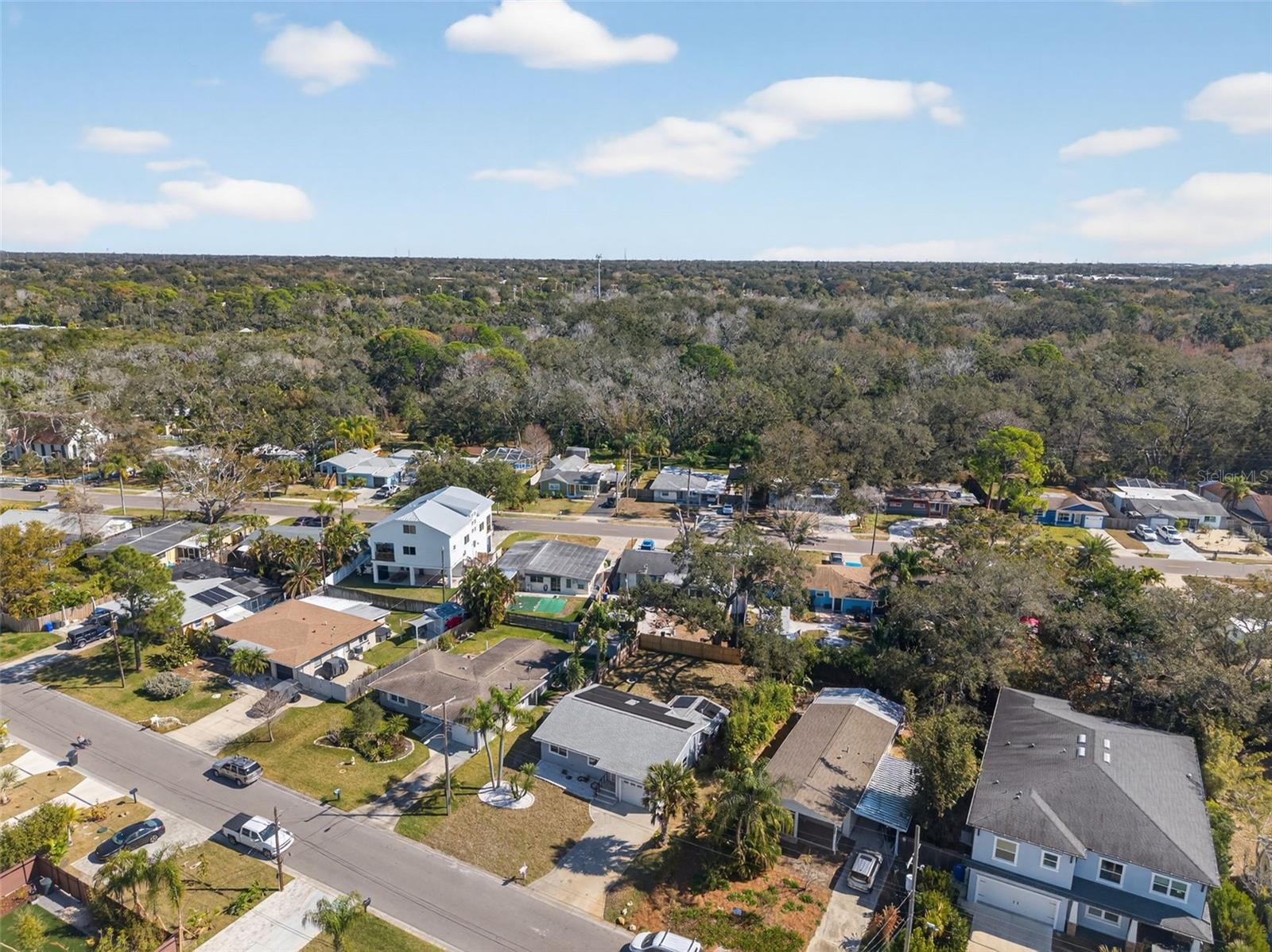 1841 DOUGLAS AVE, DUNEDIN, FL, 34698