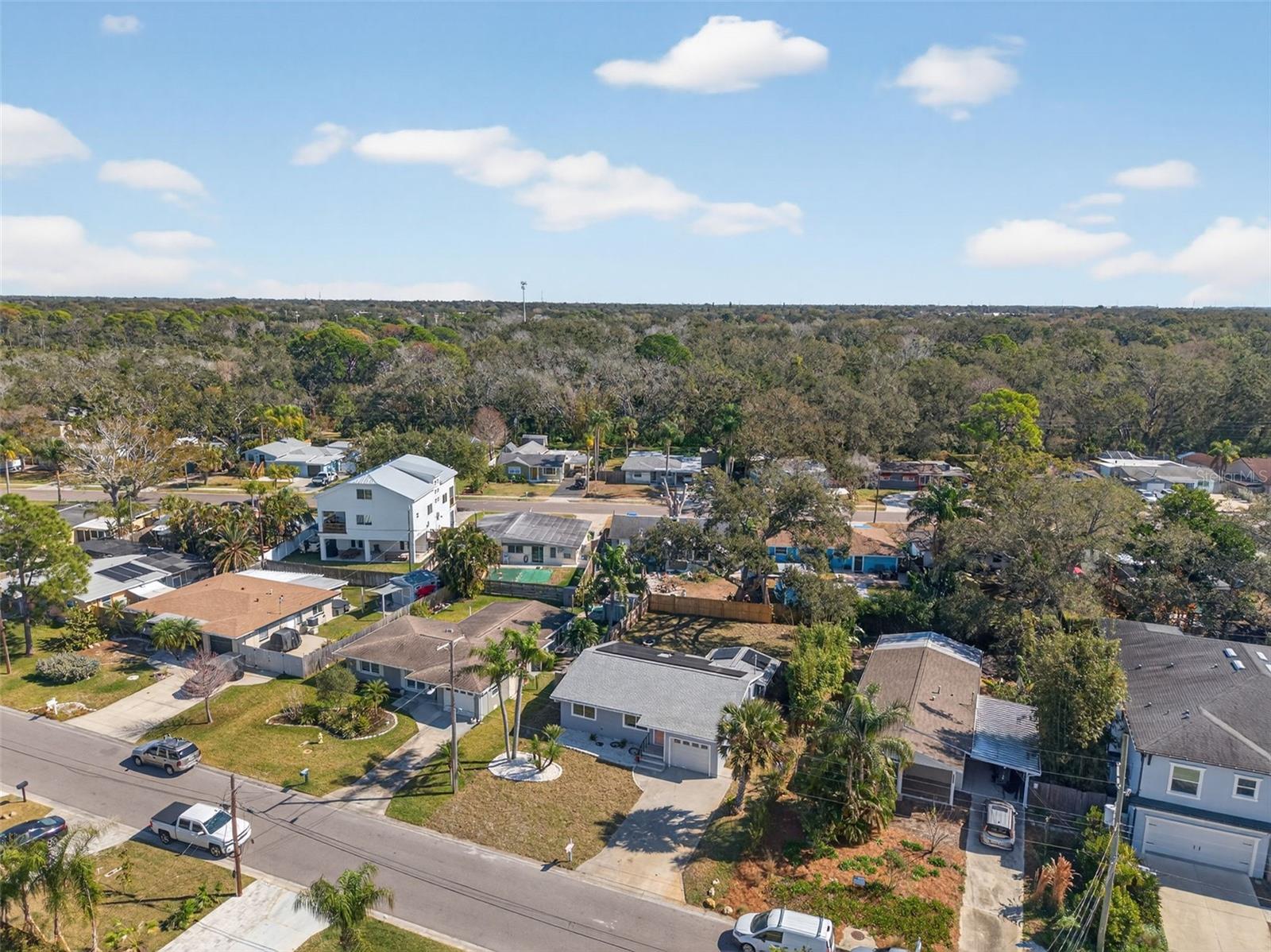 1841 DOUGLAS AVE, DUNEDIN, FL, 34698