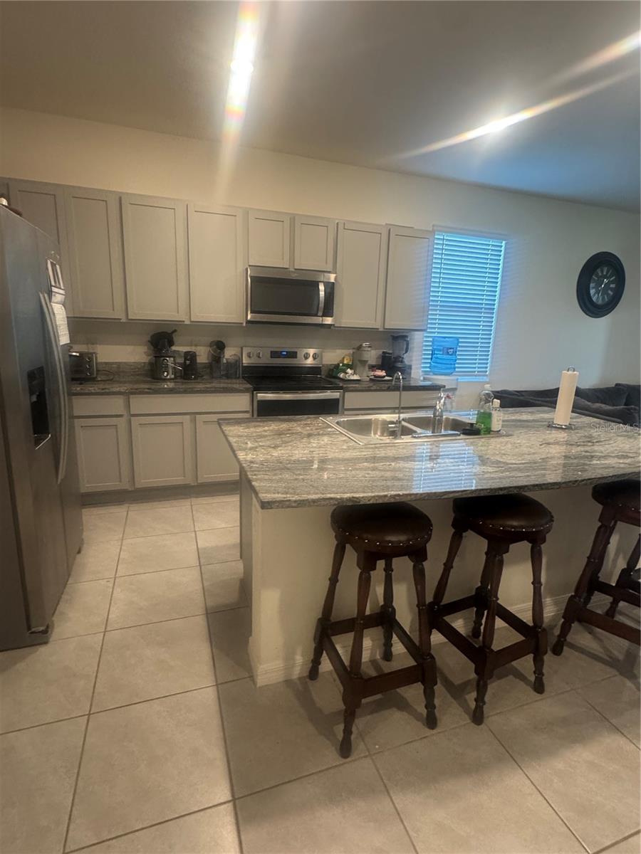 33074 TULIP PETAL LN, WESLEY CHAPEL, FL, 33545