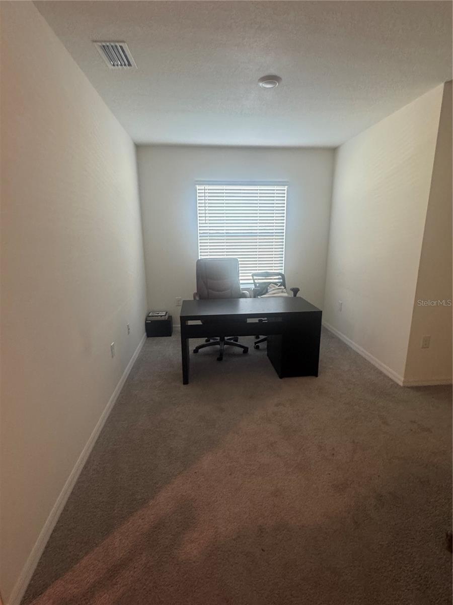 33074 TULIP PETAL LN, WESLEY CHAPEL, FL, 33545